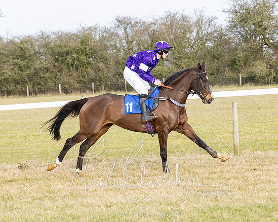 Race 2 - Restricted  (78 of 184)