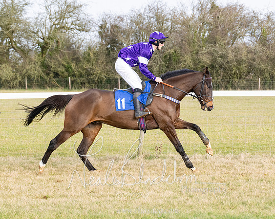 Race 2 - Restricted  (82 of 184)