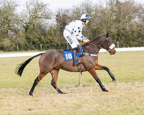 Race 2 - Restricted  (84 of 184)