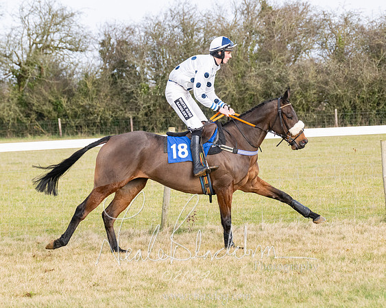 Race 2 - Restricted  (85 of 184)