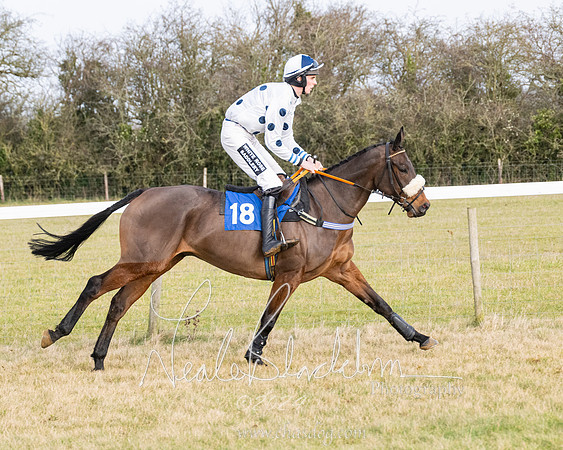 Race 2 - Restricted  (86 of 184)