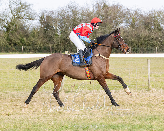 Race 2 - Restricted  (88 of 184)