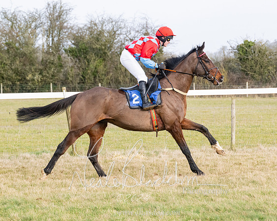 Race 2 - Restricted  (90 of 184)