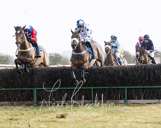 Race 2 - Restricted  (94 of 184)