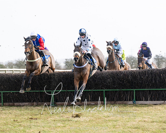 Race 2 - Restricted  (96 of 184)