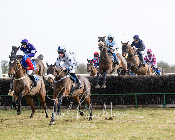 Race 2 - Restricted  (102 of 184)