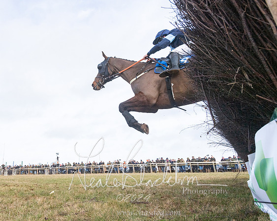 Race 2 - Restricted  (108 of 184)