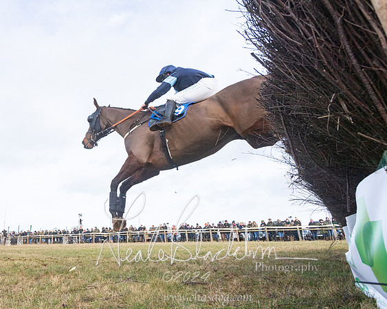 Race 2 - Restricted  (109 of 184)