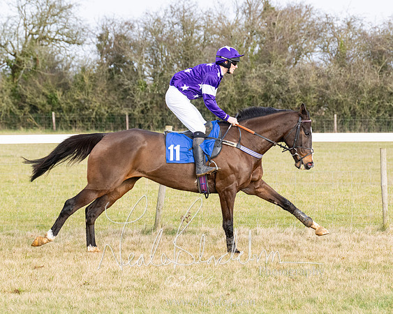 Race 2 - Restricted  (83 of 184)