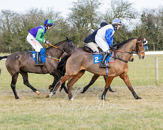 Race 3 - PPORA Novice Riders (8 of 292)