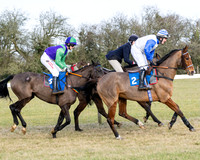 Race 3 - PPORA Novice Riders (11 of 292)