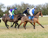 Race 3 - PPORA Novice Riders (14 of 292)