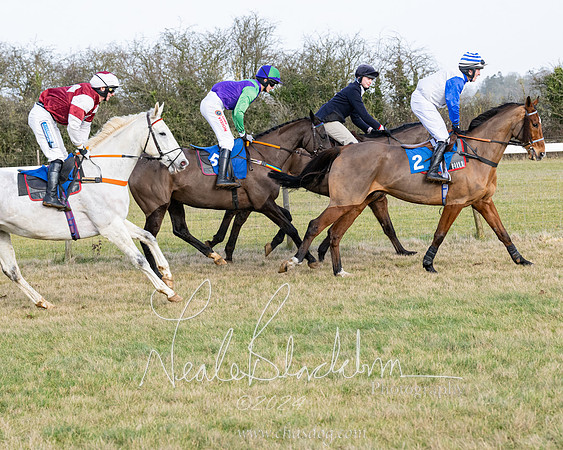 Race 3 - PPORA Novice Riders (17 of 292)