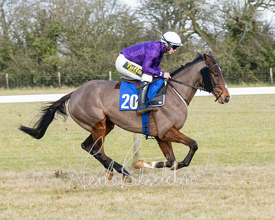 Race 3 - PPORA Novice Riders (27 of 292)