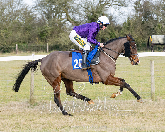 Race 3 - PPORA Novice Riders (29 of 292)