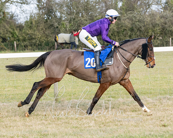 Race 3 - PPORA Novice Riders (30 of 292)