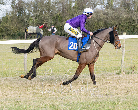 Race 3 - PPORA Novice Riders (31 of 292)