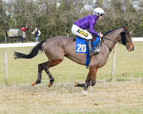 Race 3 - PPORA Novice Riders (32 of 292)