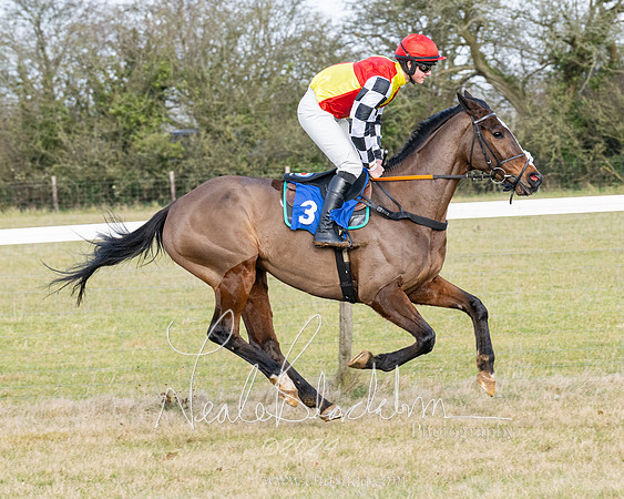 Race 3 - PPORA Novice Riders (35 of 292)