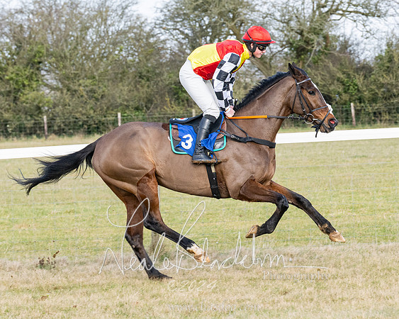 Race 3 - PPORA Novice Riders (36 of 292)
