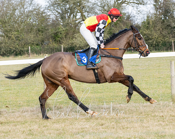 Race 3 - PPORA Novice Riders (37 of 292)