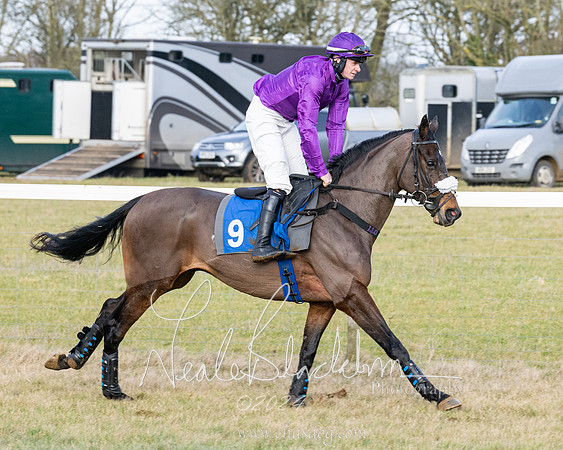 Race 3 - PPORA Novice Riders (43 of 292)