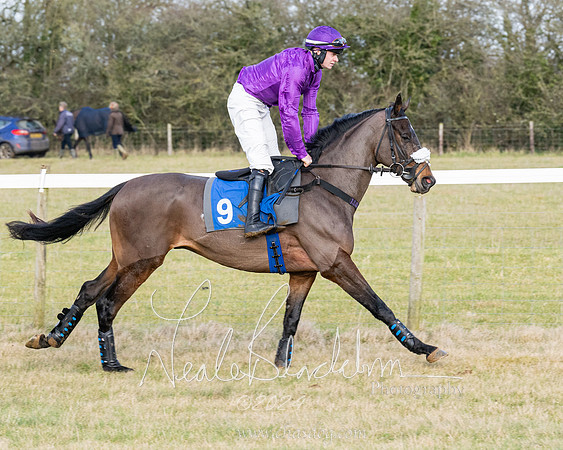 Race 3 - PPORA Novice Riders (47 of 292)