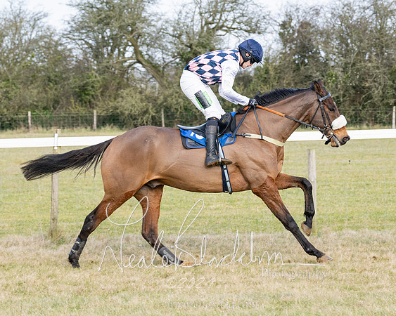 Race 3 - PPORA Novice Riders (55 of 292)