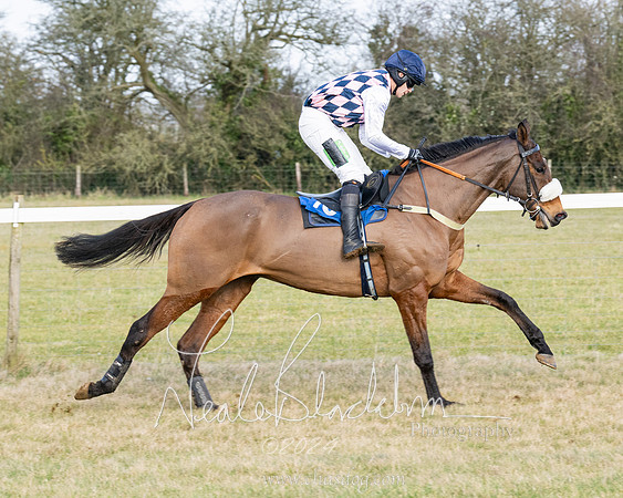 Race 3 - PPORA Novice Riders (56 of 292)