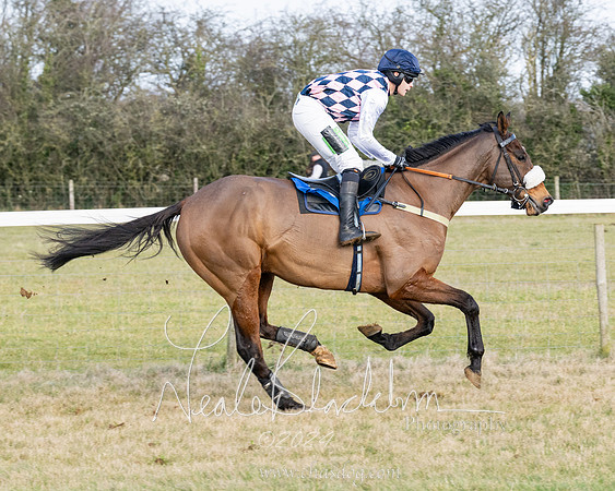Race 3 - PPORA Novice Riders (60 of 292)