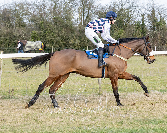 Race 3 - PPORA Novice Riders (63 of 292)