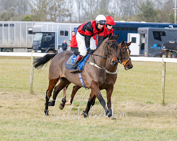 Race 3 - PPORA Novice Riders (70 of 292)