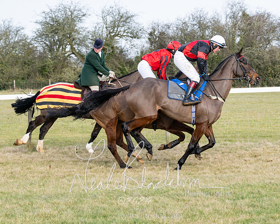 Race 3 - PPORA Novice Riders (75 of 292)