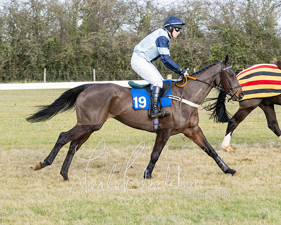 Race 3 - PPORA Novice Riders (80 of 292)