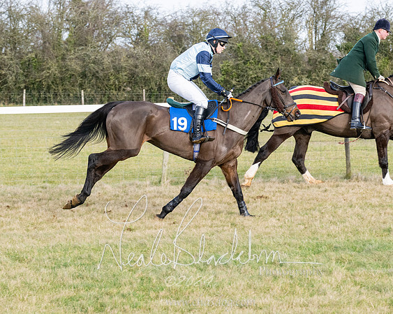 Race 3 - PPORA Novice Riders (81 of 292)