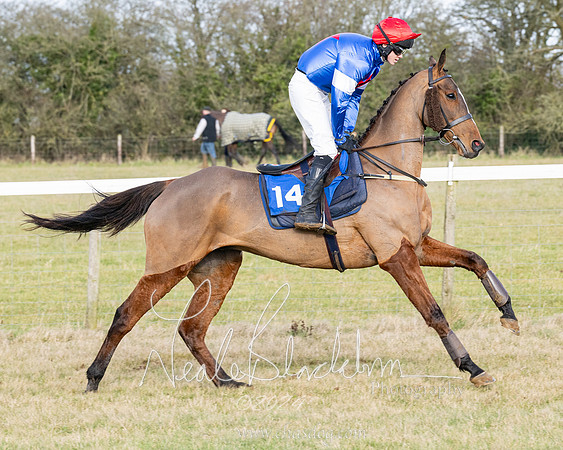 Race 3 - PPORA Novice Riders (87 of 292)