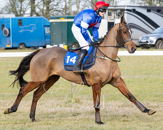 Race 3 - PPORA Novice Riders (86 of 292)