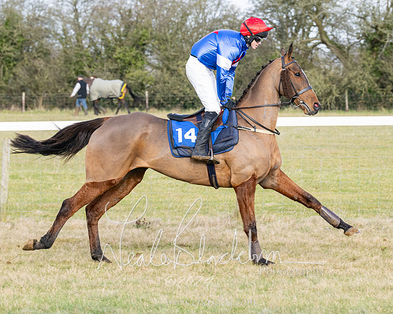 Race 3 - PPORA Novice Riders (88 of 292)