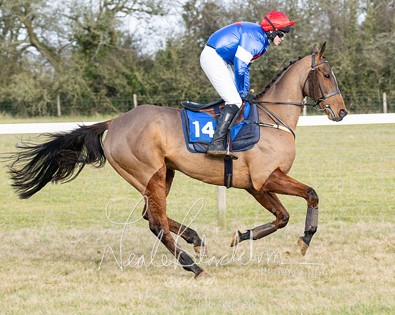 Race 3 - PPORA Novice Riders (90 of 292)