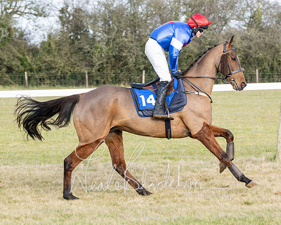 Race 3 - PPORA Novice Riders (91 of 292)