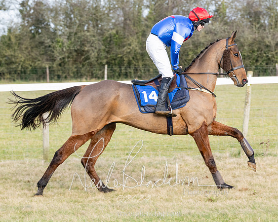 Race 3 - PPORA Novice Riders (92 of 292)