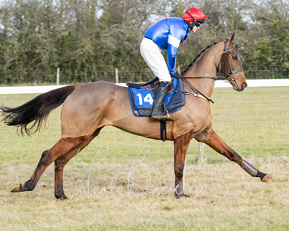 Race 3 - PPORA Novice Riders (93 of 292)