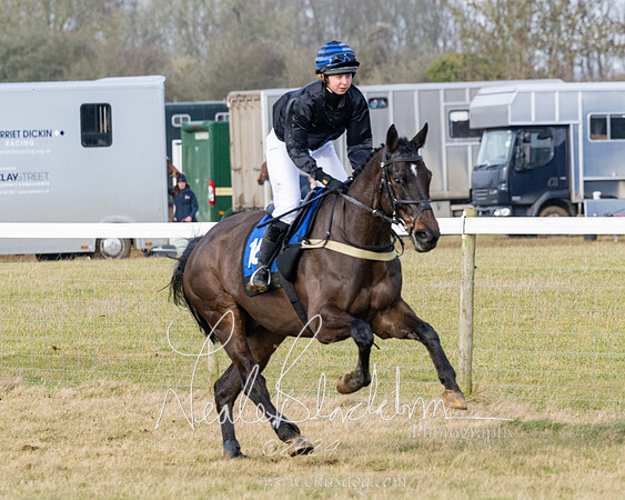 Race 3 - PPORA Novice Riders (95 of 292)