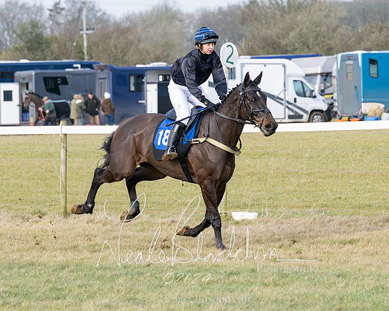 Race 3 - PPORA Novice Riders (97 of 292)
