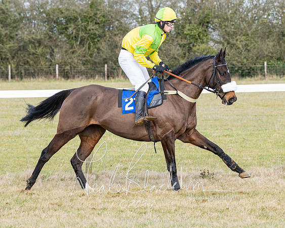 Race 3 - PPORA Novice Riders (107 of 292)