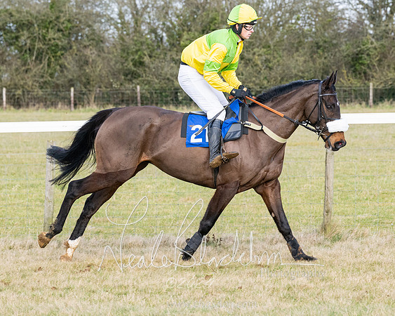 Race 3 - PPORA Novice Riders (109 of 292)