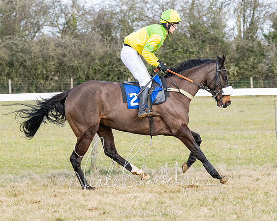 Race 3 - PPORA Novice Riders (111 of 292)