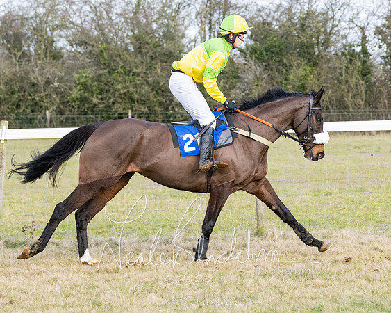 Race 3 - PPORA Novice Riders (114 of 292)