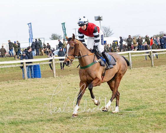 Race 4 - Ladies Open  (33 of 155)