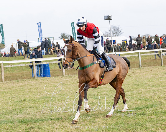 Race 4 - Ladies Open  (34 of 155)